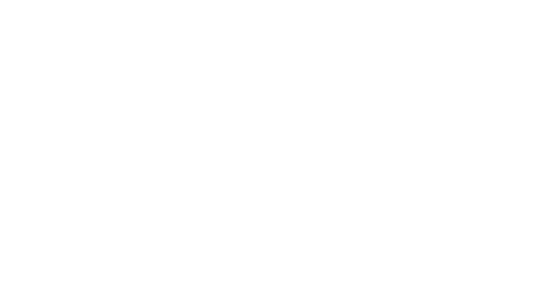 Need For Spin Casino Logo